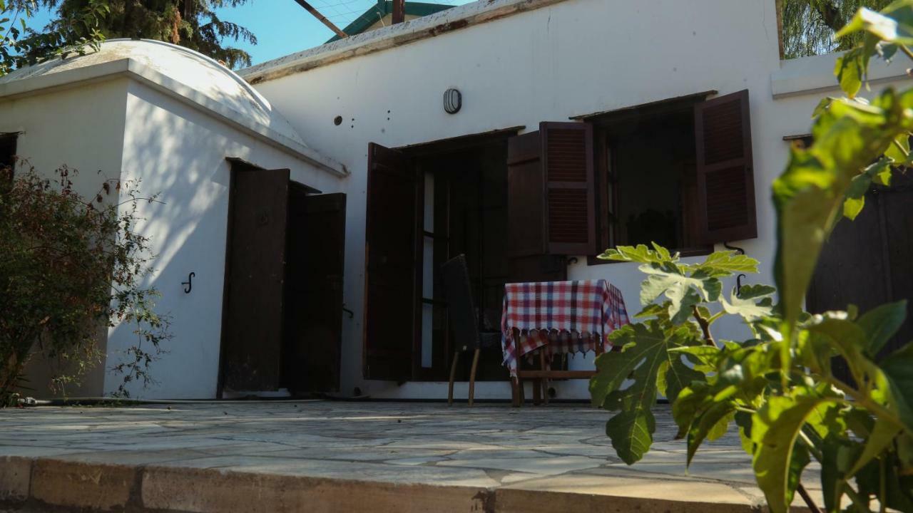 Cyprus Village House 凯里尼亚 外观 照片